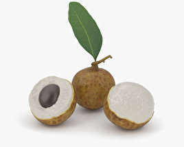 Longan 3D model