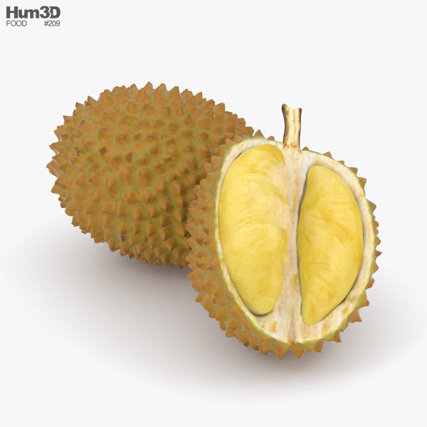 Durian 3D model
