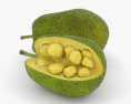 Jackfruit 3d model