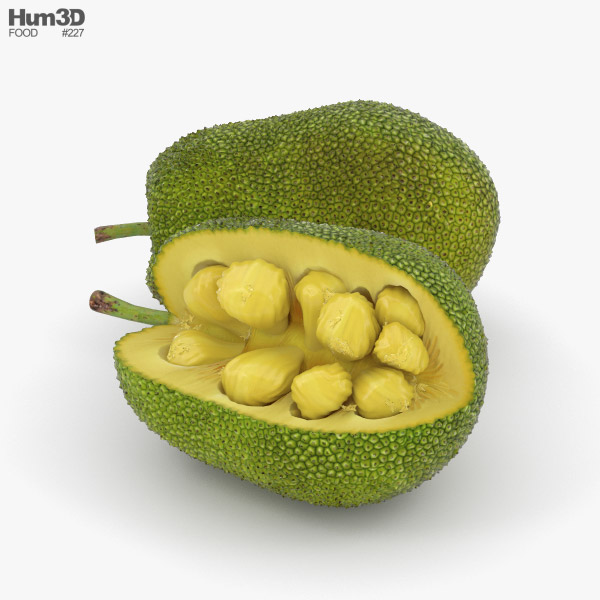Jackfruit 3D model