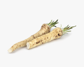 Horseradish 3D model