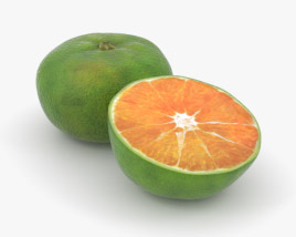 Mandarina verde Modelo 3D