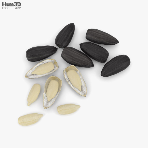 Sunflower Seeds 3D model Food on Hum3D