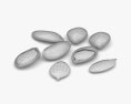 Pumpkin Seeds 3d model