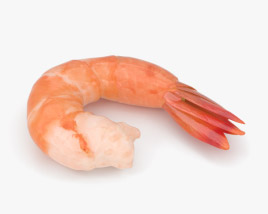 Shrimp 3D model