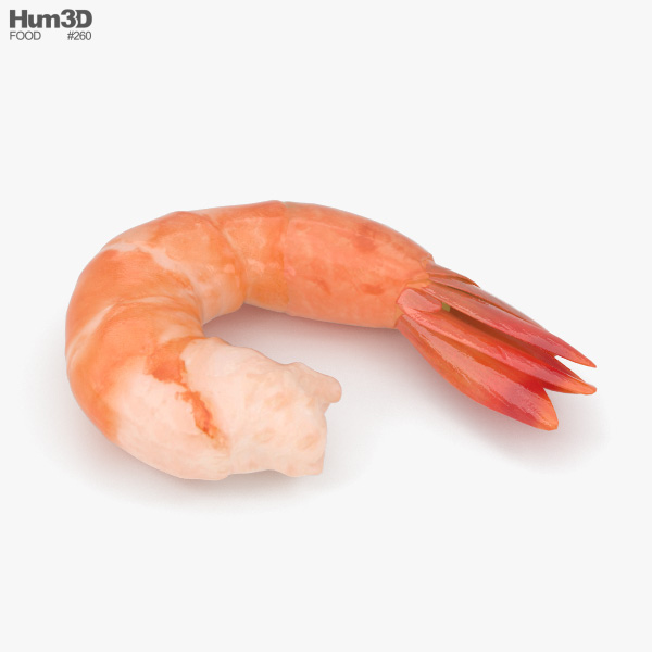 Shrimp 3D model