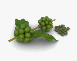 Green Coffee Beans 3D model