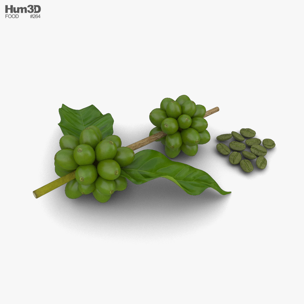 Green Coffee Beans 3D model