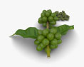 녹색 커피 콩 3D 모델 