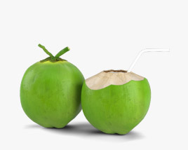 Coco verde Modelo 3D