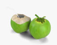 Green Coconut 3d model