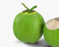 Green Coconut 3d model