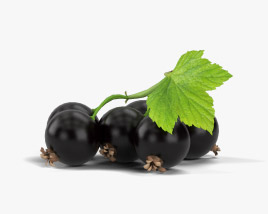 Blackcurrant 3D model