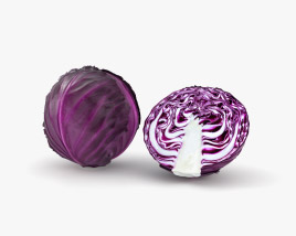 Red Cabbage 3D model