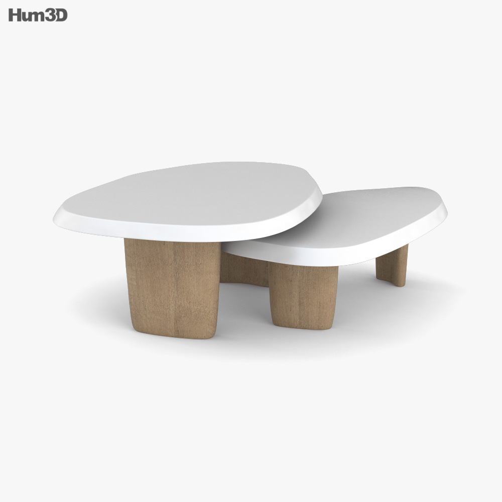 Duo Multilaque Table Basse Modèle 3D