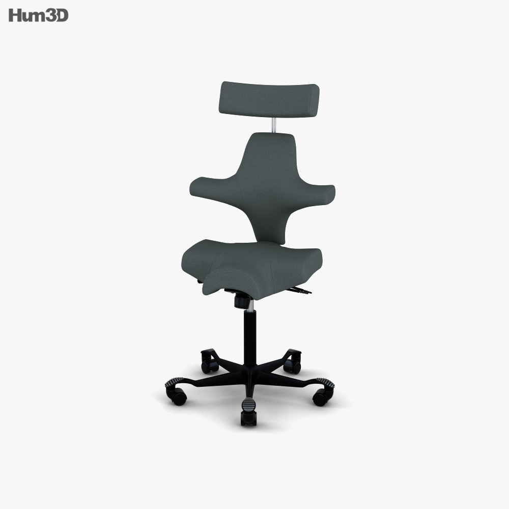 HAG Capisco 의자 3D 모델 