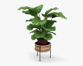 Umanoff Boîte à plantes Modèle 3D