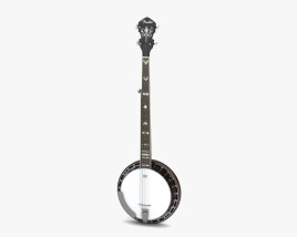 Banjo Modello 3D