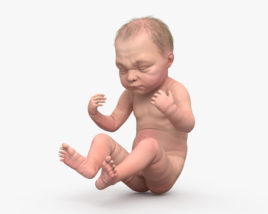Baby 3D-Modell