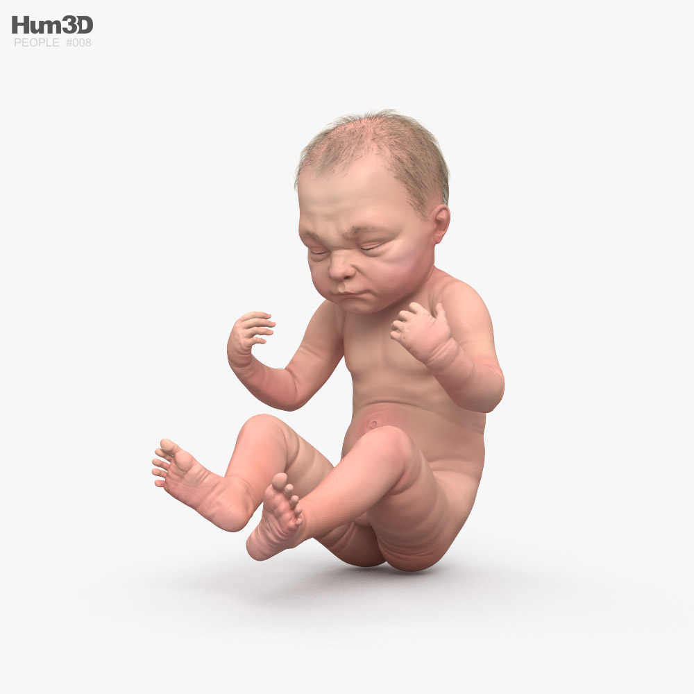 婴孩 3D模型