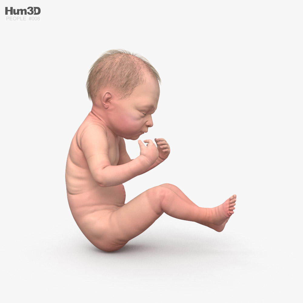 Baby 3d Model Characters On Hum3d