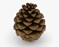 Pine cone 3d model