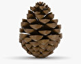 Pine cone 3d model