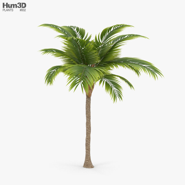 棕榈树 3D模型