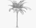 Palm Tree 3d model