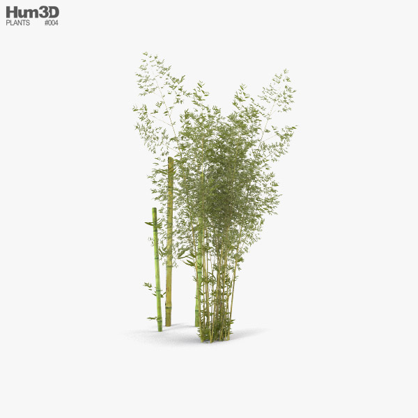 Bambou Modèle 3D