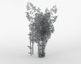 Bamboo 3d model