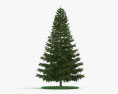 Pine tree 3d model