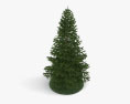Pine tree 3d model