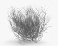 Tumbleweed 3d model