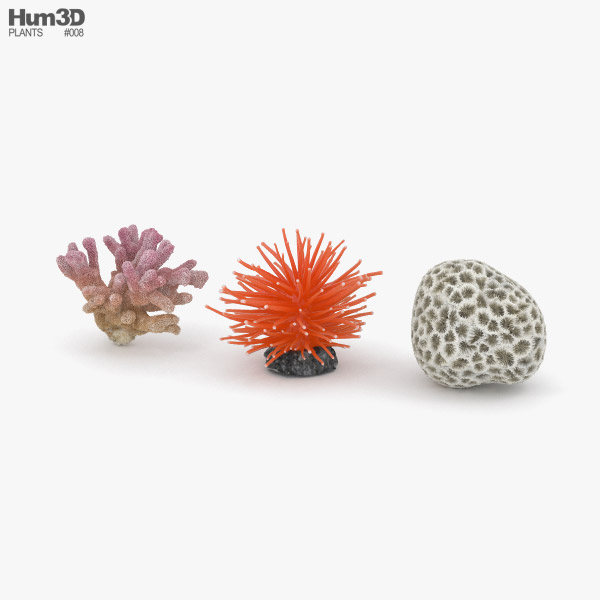 サンゴ 3Dモデル
