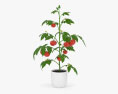 토마토 식물 3D 모델 