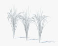 Rice Plant 3d model