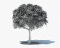Mango Tree 3d model