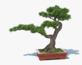 Дерево бонсай 3D модель