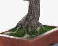 Albero bonsai Modello 3D