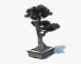 Árbol bonsai Modelo 3D