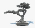 Bonsai Tree 3d model