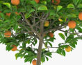 Orange Tree in a Pot 3d model