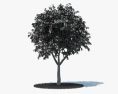Cherry Tree 3d model