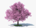 Sakura Tree 3d model