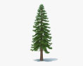Sequoia 3d model