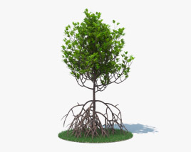Mangrove 3D model