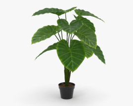 Taro 3D model
