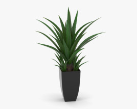 Agave In Decorative Pot 3D model