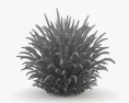 Spiraea Cinerea Grefsheim 3d model